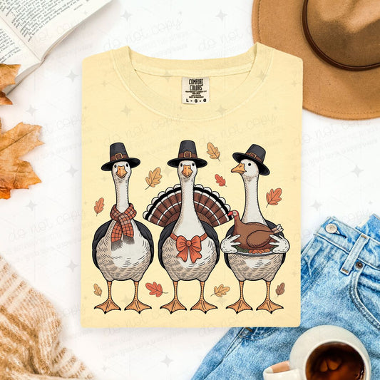 COQUETTE THANKSGIVING TURKEY TRIO - DTF TRANSFER