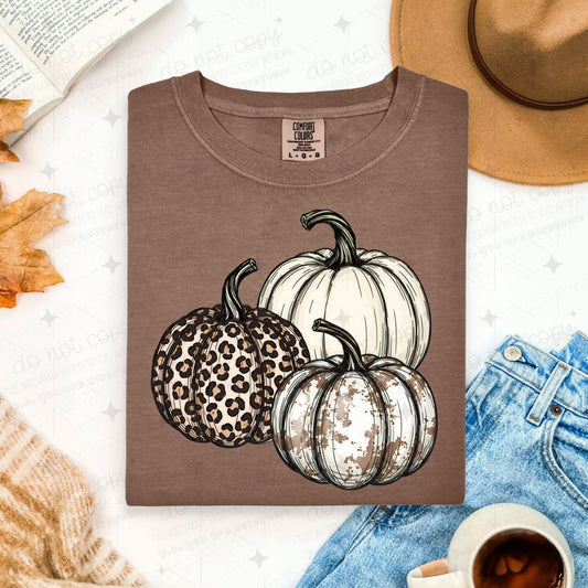 NEUTRAL PUMPKINS - DTF TRANSFER