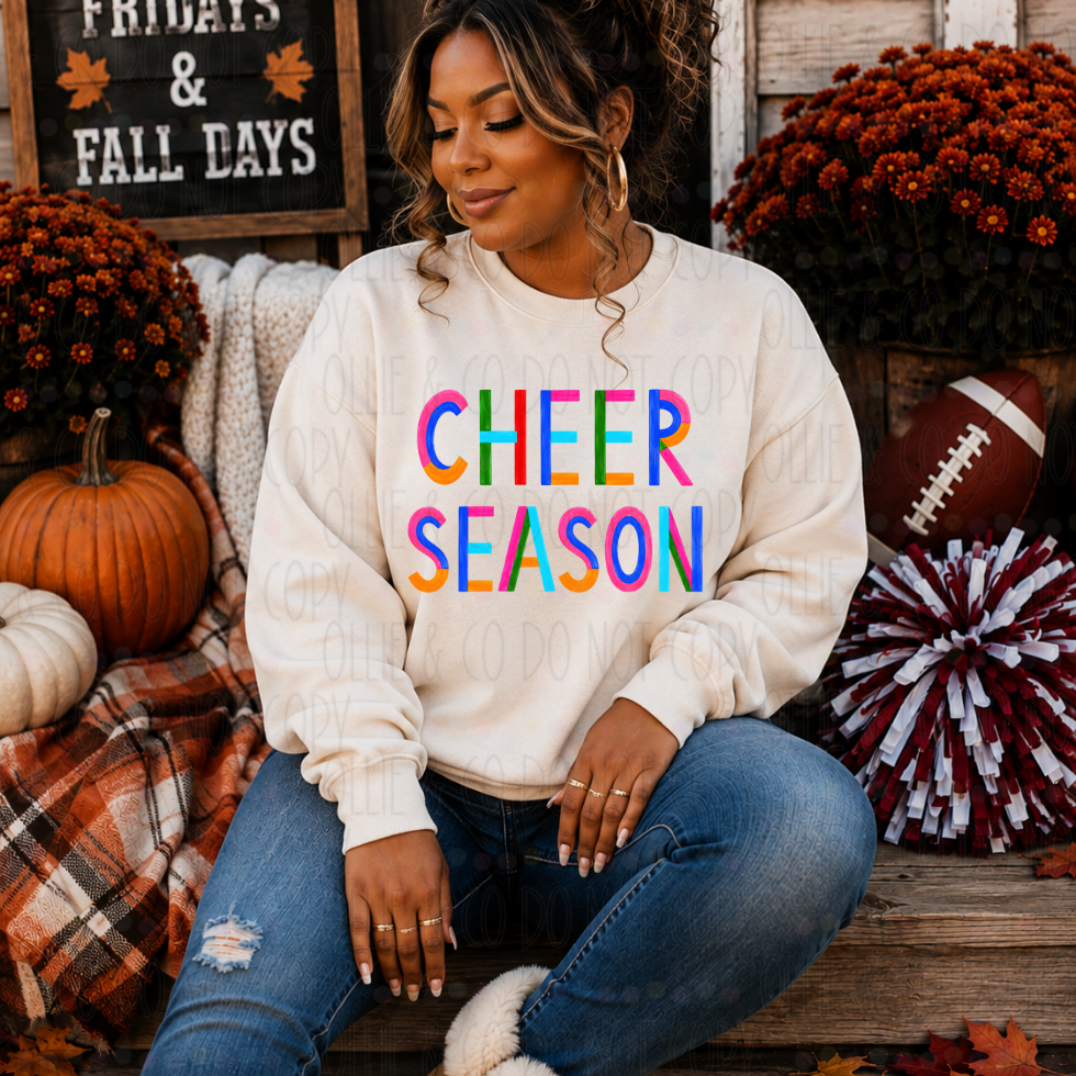 CHEER SEASON COLORBLOCK - DTF TRANSFER