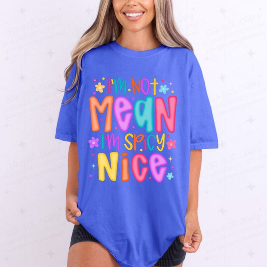 SPICY NICE - DTF TRANSFER