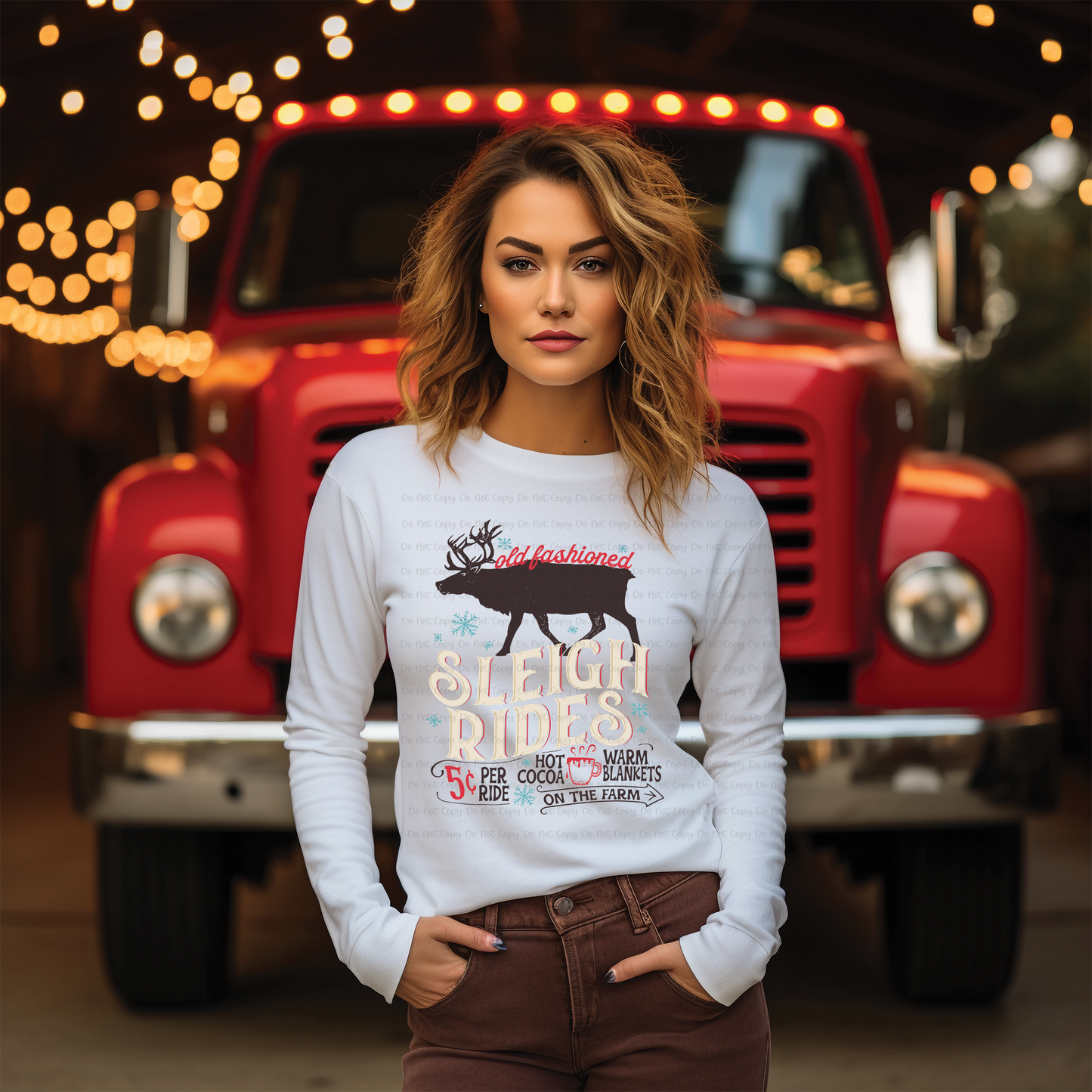 SLEIGH RIDES - DTF TRANSFER