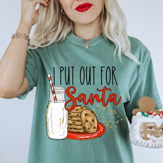 I PUT OUT FOR SANTA - DTF TRANSFER