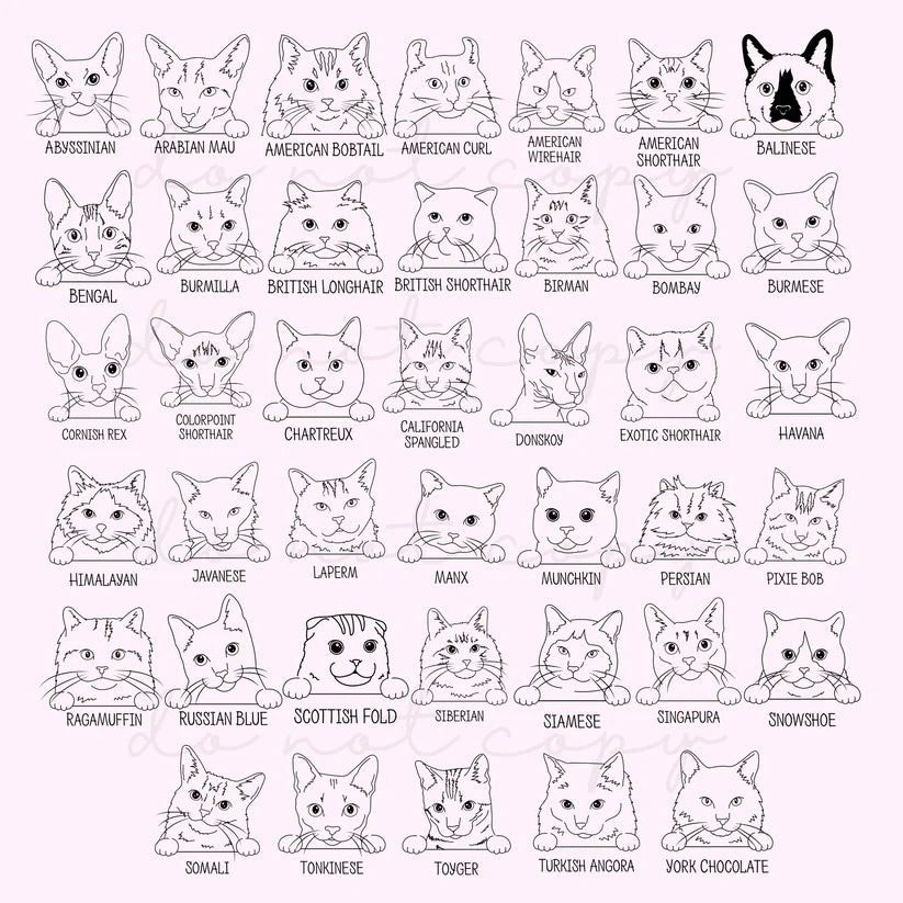 DOG & CAT TITLE W/ PORTRAIT OUTLINE - CUSTOM TRANSFER