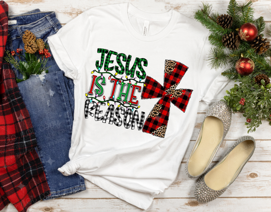 JESUS IS THE REASON - DTF TRANSFER