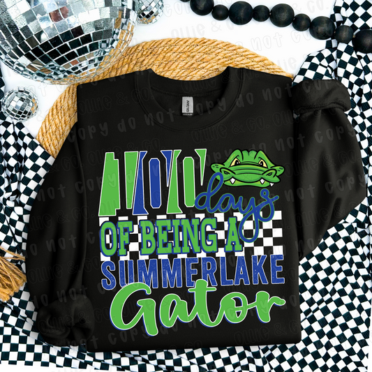 100 DAYS OF BEING A MASCOT - CUSTOM TRANSFER