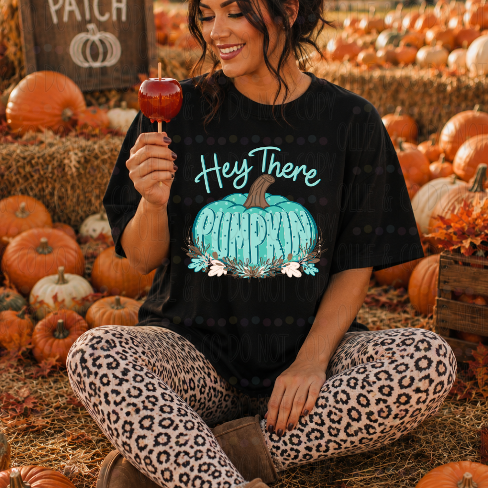 HEY THERE PUMPKIN - DTF TRANSFER