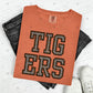 FOOTBALL MASCOTS - FAUX GLITTER - DTF TRANSFER