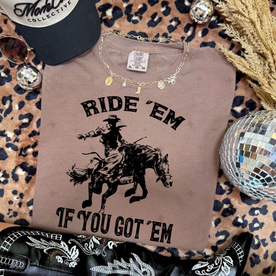 RIDE 'EM IF YOU GOT 'EM - DTF TRANSFER