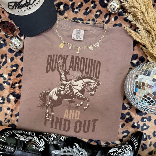 BUCK AROUND AND FIND OUT - DTF TRANSFER