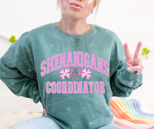 SHENANIGANS COORDINATOR - DTF TRANSFER