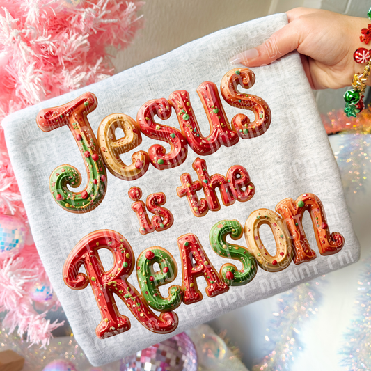 JESUS IS THE REASON - DTF TRANSFER