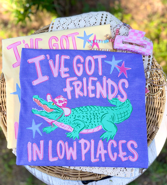 LOW PLACES GATOR - DTF TRANSFER