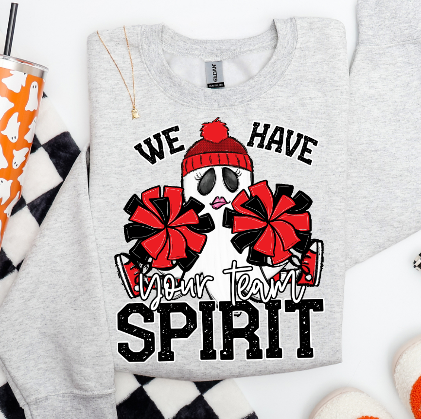 WE HAVE SPIRIT - CUSTOM TRANSFER
