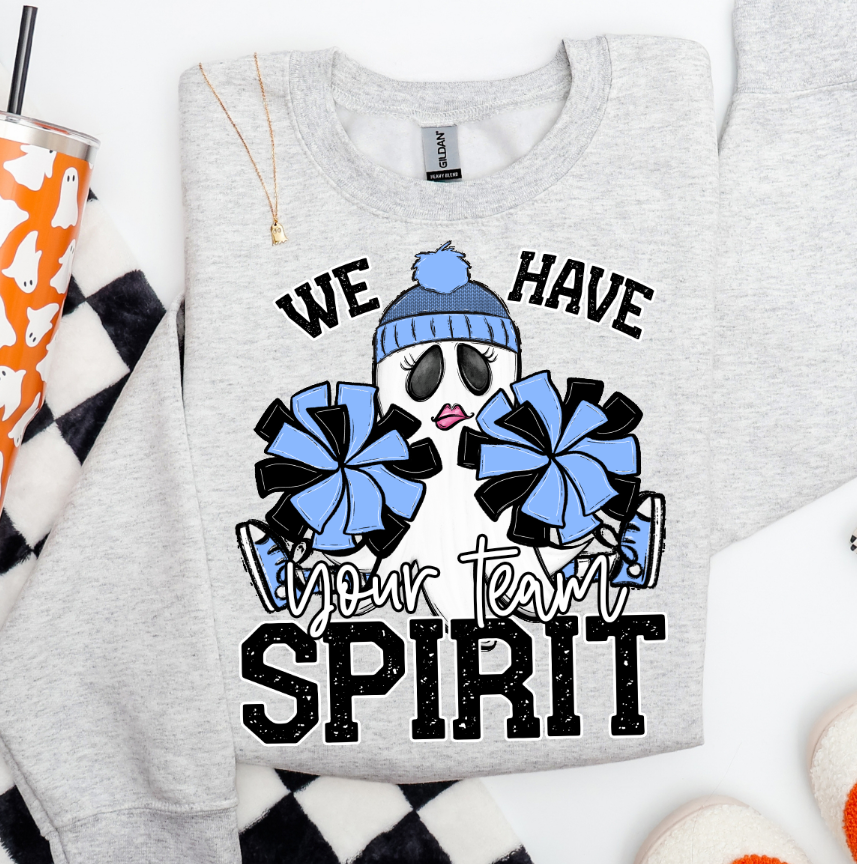 WE HAVE SPIRIT - CUSTOM TRANSFER