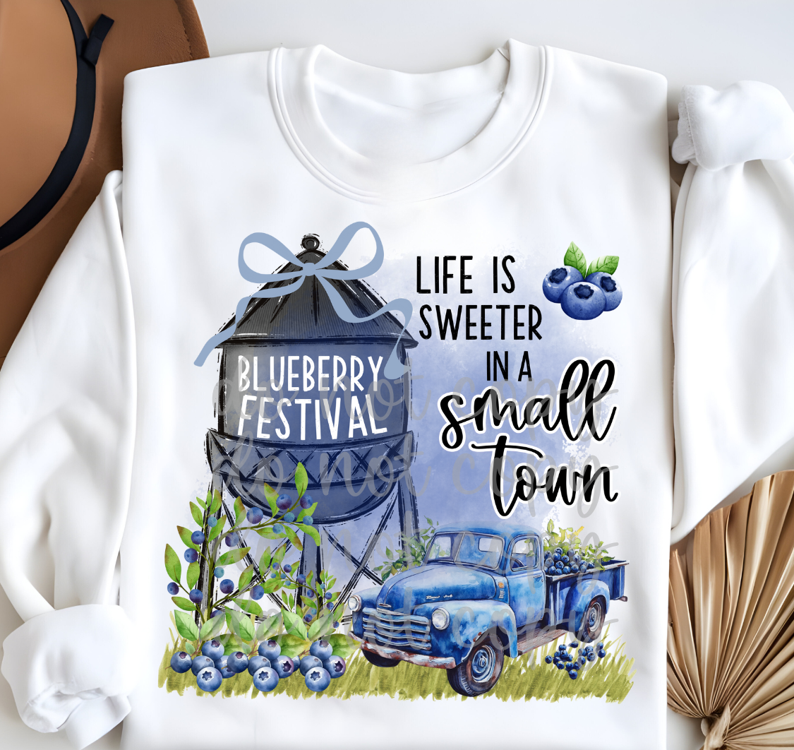 BLUEBERRY FESTIVAL - DTF TRANSFER